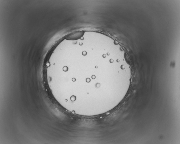 X0000116820296201001291628