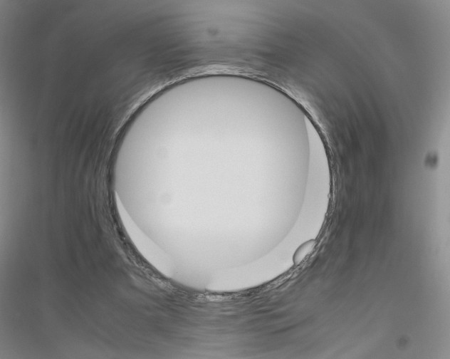 X0000116820297201001291628