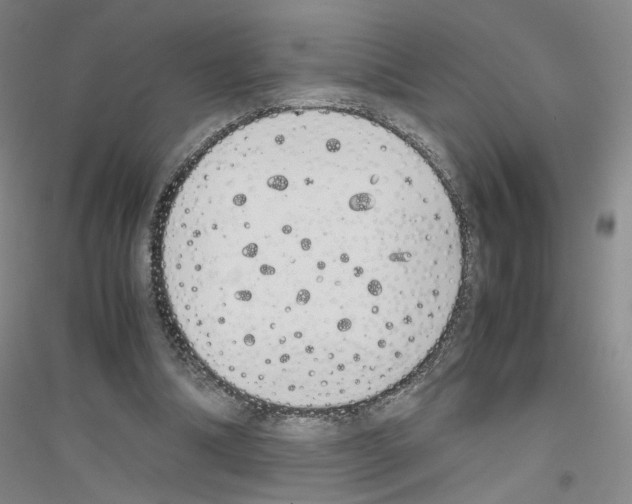 X0000116820298201001291628