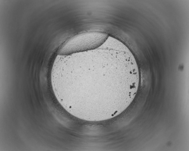 X0000116820300201001291628