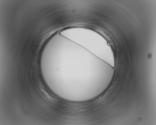 X0000116820302201001291628