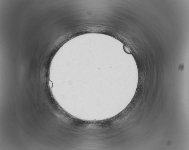 X0000116820303201001291628