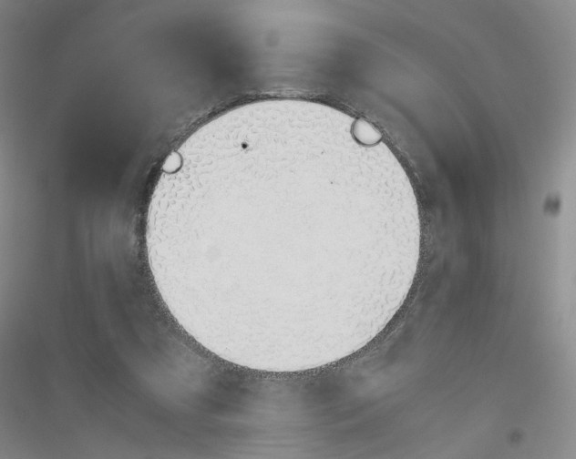 X0000116820305201001291628