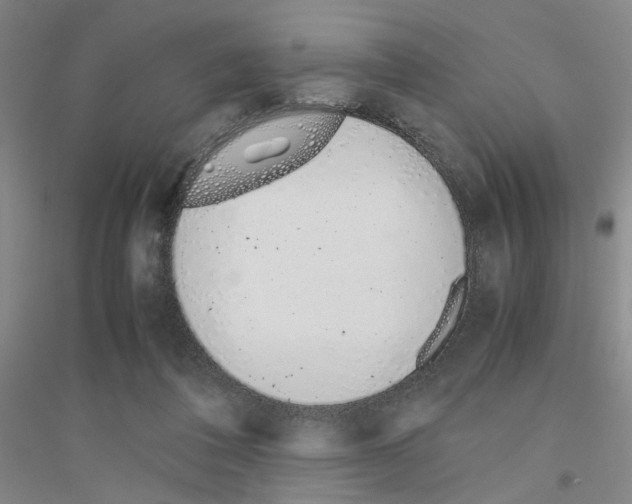 X0000116820308201001291628