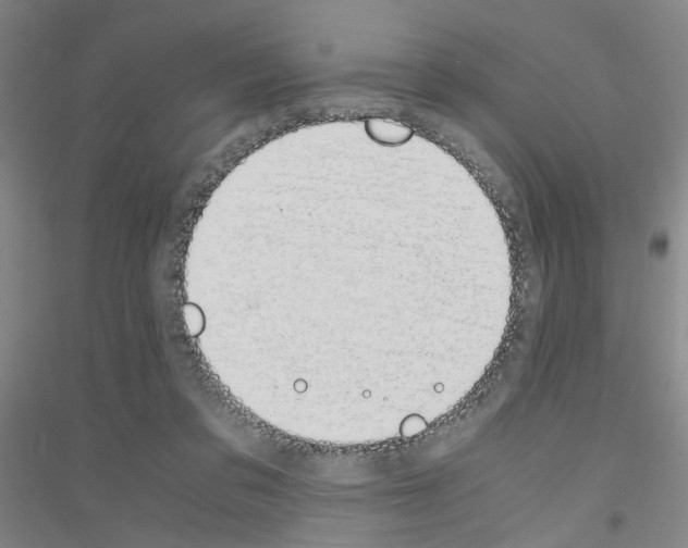 X0000116820309201001291628