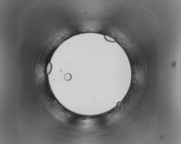 X0000116820312201001291627