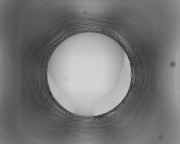 X0000116820313201001291627