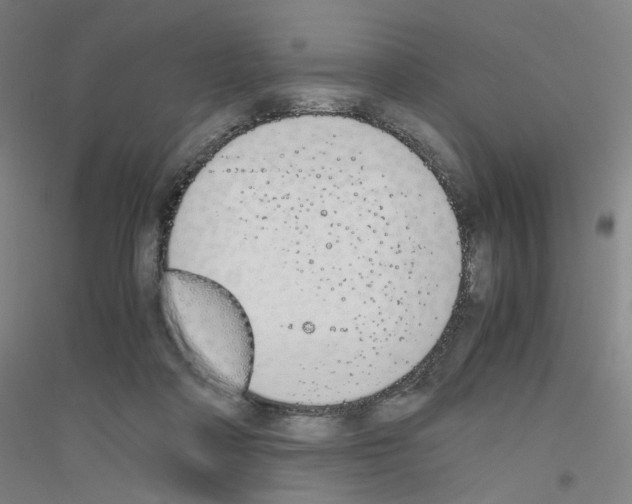 X0000116820314201001291627