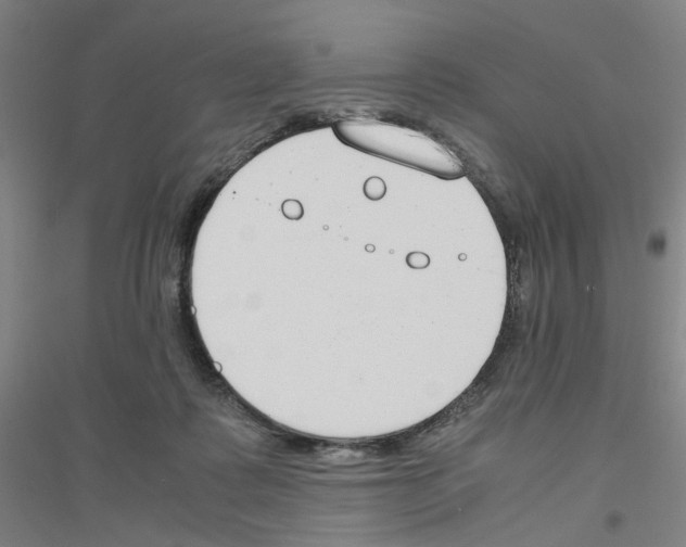 X0000116820315201001291627