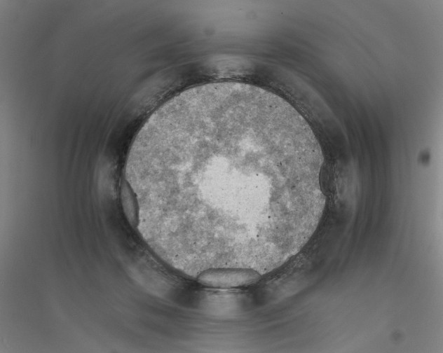 X0000116820316201001291627