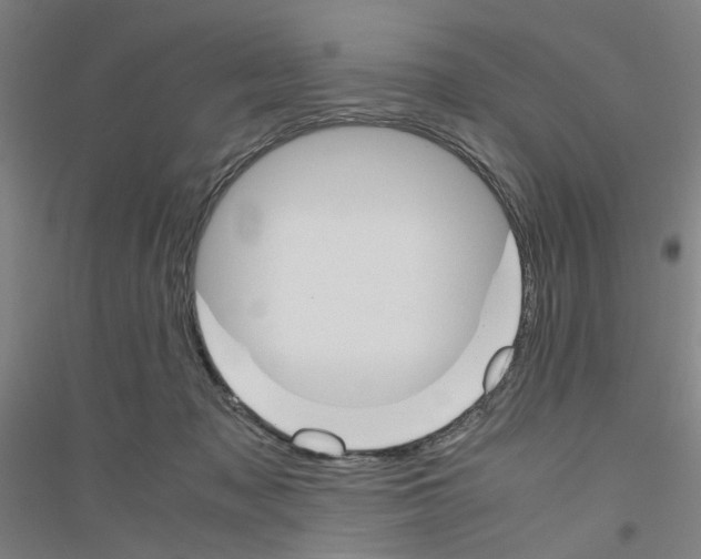 X0000116820317201001291627