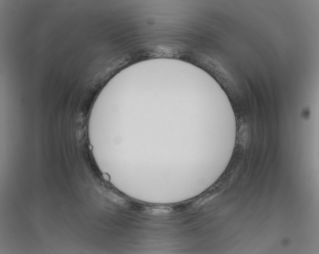 X0000116820318201001291627