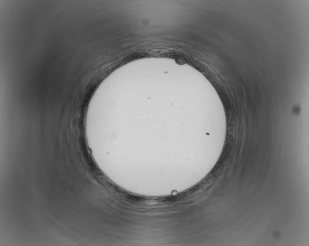 X0000116820319201001291627