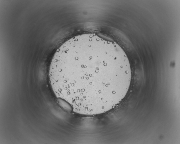 X0000116820320201001291627