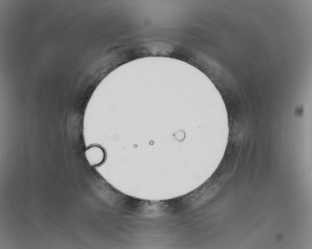 X0000116820321201001291627