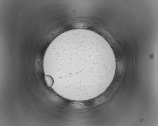 X0000116820322201001291627