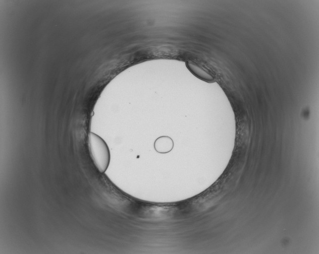 X0000116820323201001291627