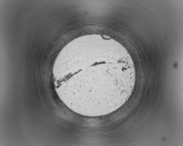 X0000116820324201001291627