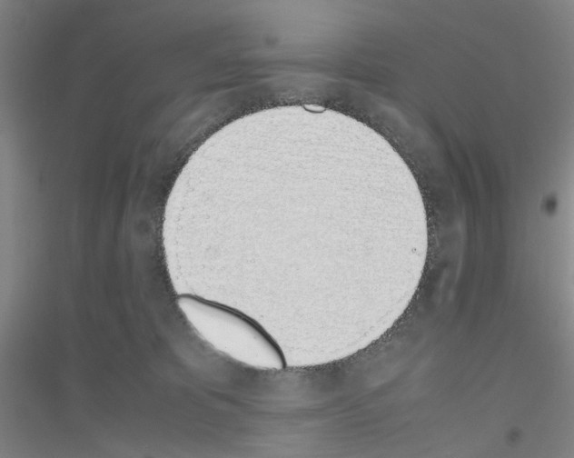 X0000116820325201001291627