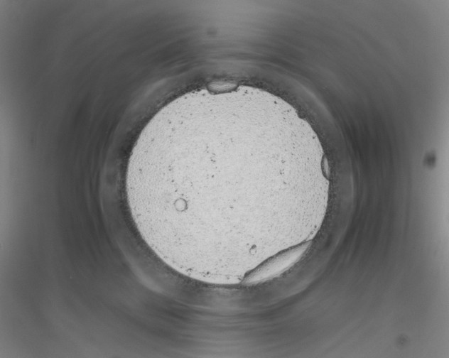 X0000116820328201001291627