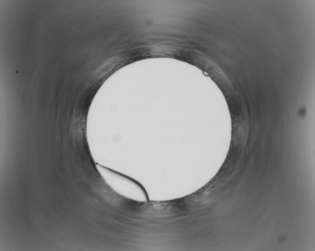 X0000116820329201001291627