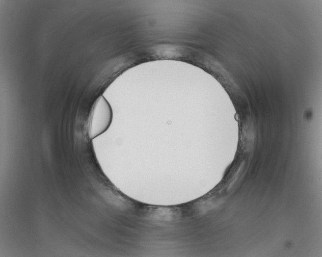 X0000116820330201001291627