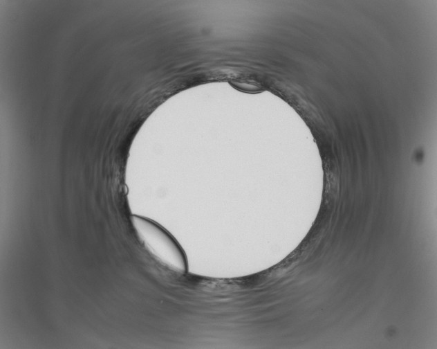 X0000116820331201001291627