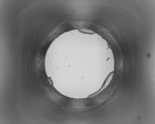 X0000116820332201001291627