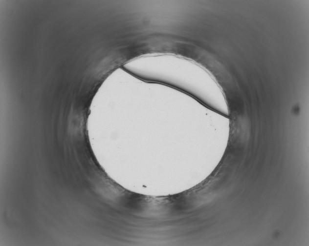 X0000116820333201001291627