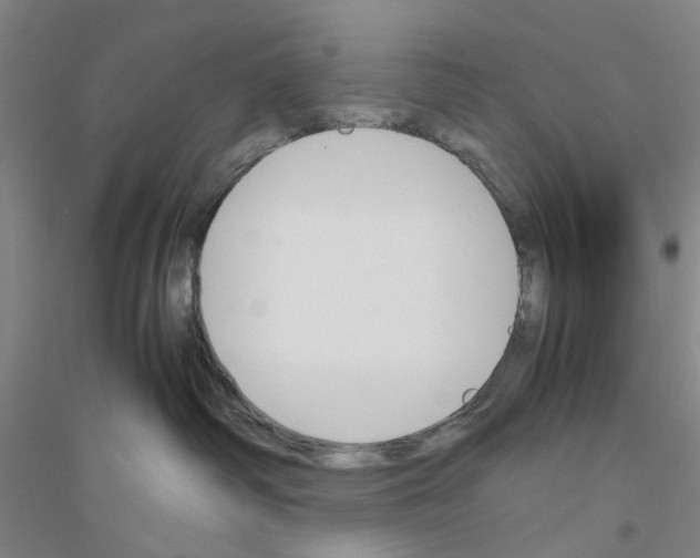 X0000116820334201001291627