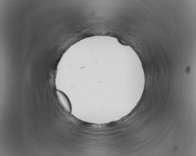 X0000116820335201001291627