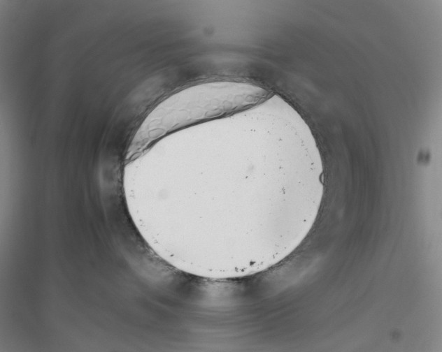 X0000116820336201001291627