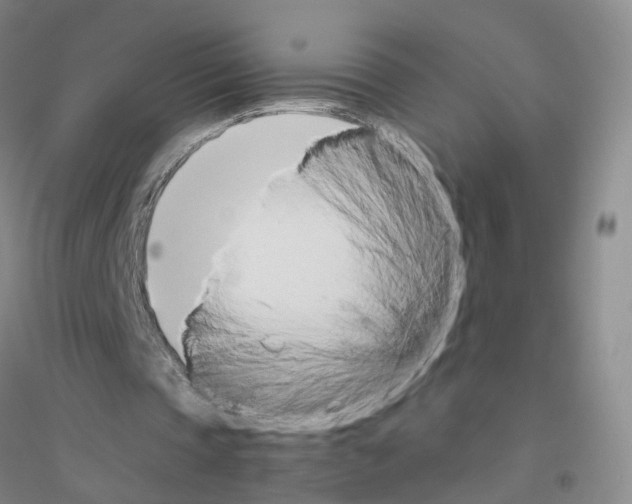 X0000116820337201001291627