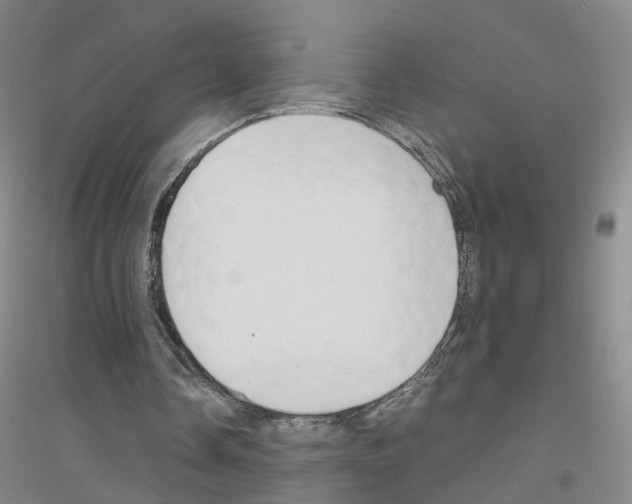 X0000116820338201001291627