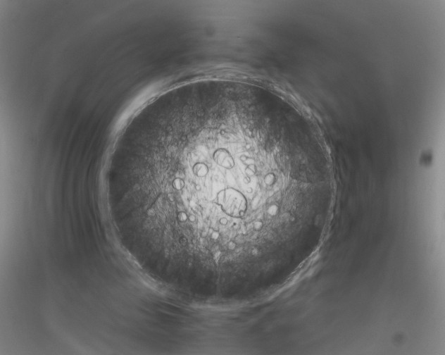 X0000116820341201001291627