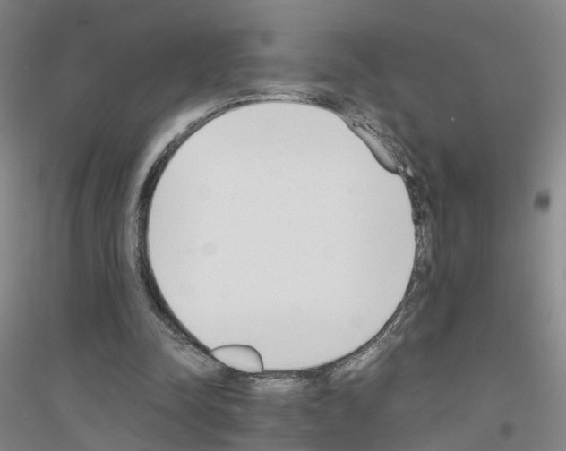 X0000116820342201001291627