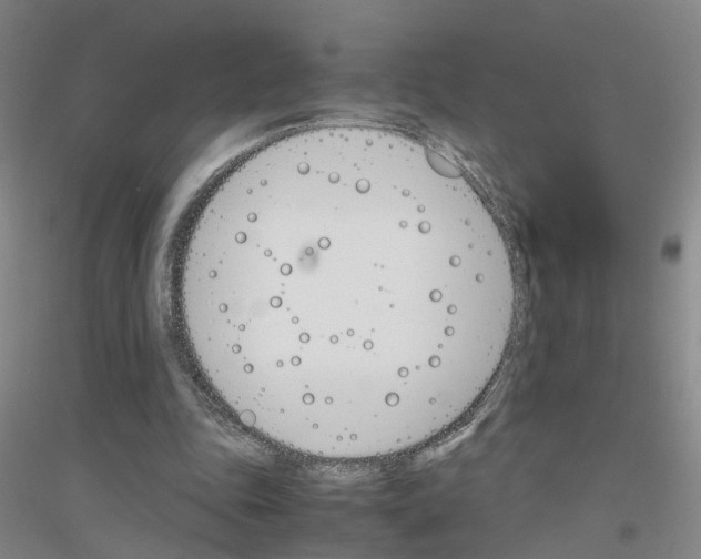 X0000116820343201001291627