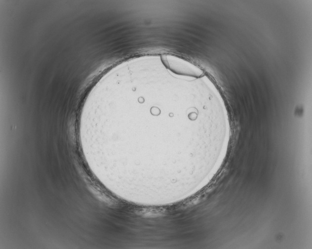 X0000116820345201001291627