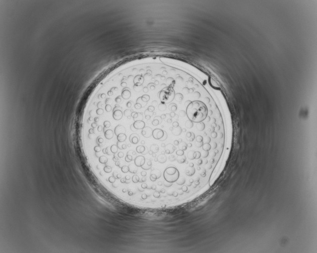 X0000116820346201001291627