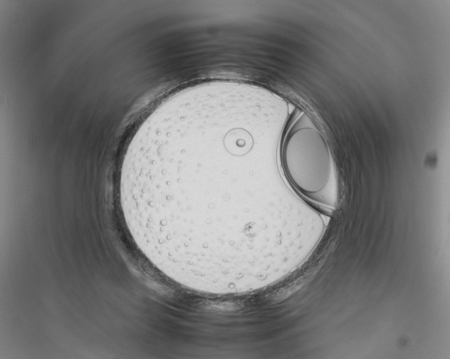 X0000116820349201001291627