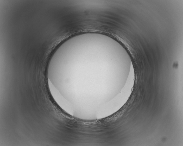 X0000116820353201001291627