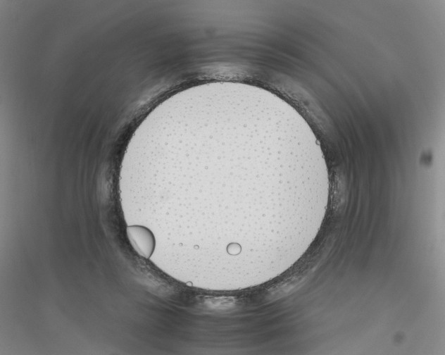 X0000116820355201001291627