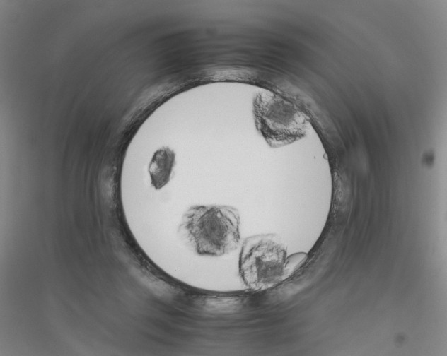 X0000116820357201001291627