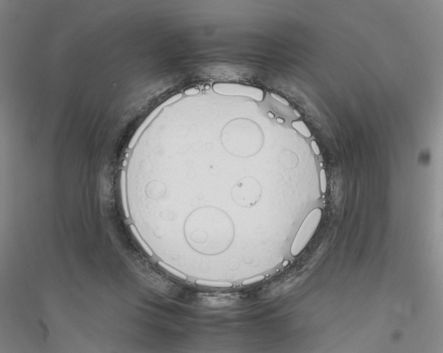 X0000116820359201001291627