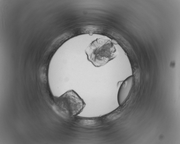 X0000116820361201001291627