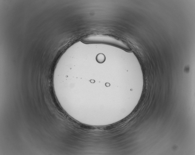 X0000116820362201001291627