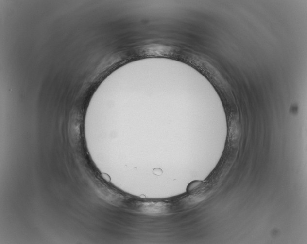 X0000116820363201001291627