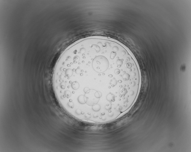 X0000116820366201001291627