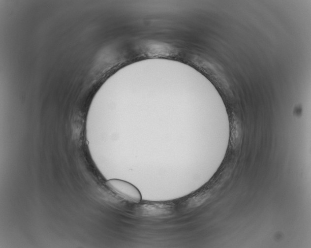 X0000116820367201001291627