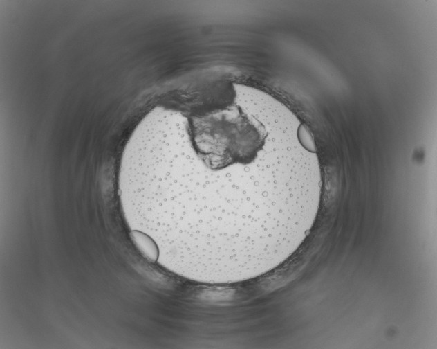 X0000116820369201001291627